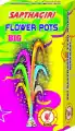 Flower Pots Big