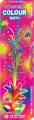 Colour Koti Deluxe ( 5 pcs)